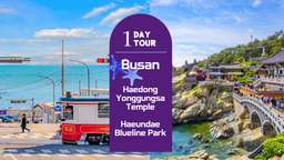 Tour nửa ngày đến Đền Haedong Yonggung và tàu đi biển Haeundae + Công viên Dongbaek (Nhà Nurimaru APEC) (Sáng／hướng dẫn viên nói tiếng Nhật), VND 1.449.485