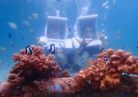 Helmet Diving Sea Walking Experience in Mactan | Cebu