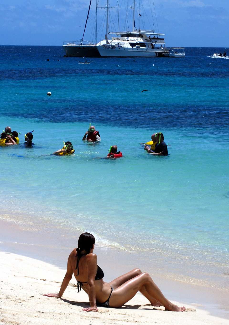 Arrive at Michaelmas Cay. Reef Activities commence: Fish feeding presentation, Snorkelling, Semi-submersible coral viewing tour, Scuba diving for introductory divers.