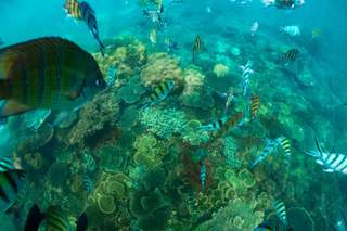 Snorkeling Tour by Bintan Resort