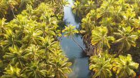 ทัวร์สำรวจดินแดน Siargao แบบส่วนตัวหนึ่งวัน: น้ำตก Taktak, Magpupungko Rock Pool, Cloud 9, แม่น้ำ Maasin และอีกมากมาย | ฟิลิปปินส์