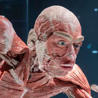 BODY WORLDS Berlin