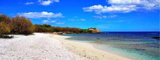 Pigeon Island National Park Snorkeling Experience from Trincomalee