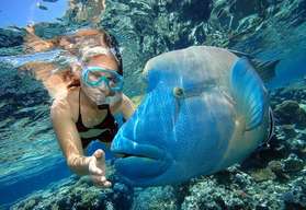 Great Barrier Reef Cruise to Reef Magic Pontoon