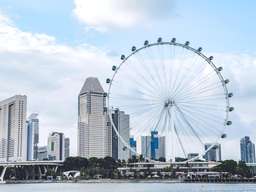 Singapore Flyer, VND 753.572