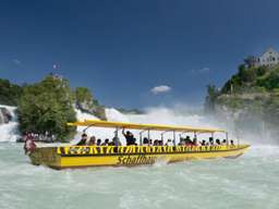 Switzerland Half-Day Tour from Zurich: Rhine Falls and Stein, USD 98.14
