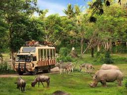 Bali Safari & Marine Park - Sababay Winery One Day Tour