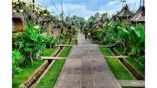 Free Tour in Bali, AU$16