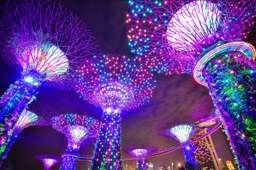 COMBO: Gardens by the Bay + Marina Bay Sands SkyPark Observation Deck, VND 942.893