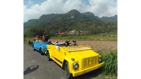 VW Safari Tour By Sheyco Tour