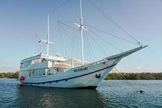 4D3N Sailing Komodo By Luxury Phinisi, SGD 597