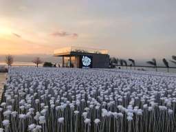 Cebu's Panoramic Night Tour with French Dining Twist: 10,000 Roses Cafe & La Vie in the Sky | Philippines, USD 25.30