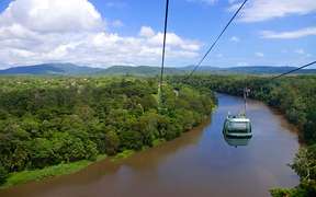 Skyrail Rainforest Cableway Experience