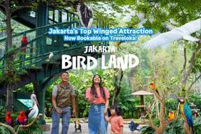 Jakarta Bird Land Ancol