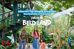 Jakarta Bird Land Ancol, Rp 50.000