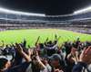 Watch the Yankee baseball game with a lively crowd