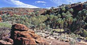 Palm Valley Outback Safari by 4WD