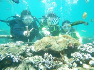 Snorkeling Safari Nusapenida by Dbalinusadua, 4,163円