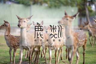 Tickets for Xiaoliuqiu Lulin Sika Deer Park