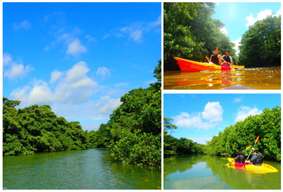 Mangrove Canoe or Stand-Up Paddleboard (SUP) Experience from Ishigaki Island in Okinawa | Japan