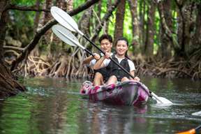 Mangrove Canoe or Stand-Up Paddleboard (SUP) Experience from Ishigaki Island in Okinawa | Japan