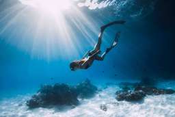 Panglao Freediving Private Tour: Island Hopping to Balicasag Island, Virgin Island & Dolphin Watching with Photos | Bohol, AUD 158.57