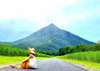 The hotel departs through Queensland's first and second peaks, Butterflyer Mountain and Belen Mountain, and Walsh's Pyramid, which is famous for its pyramid-like appearance.