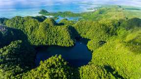 Siargao Private Poneas Lake and Island Hopping: Kangkangon Island, Coconut Mountain View, Maasin Coconut Road | Philippines