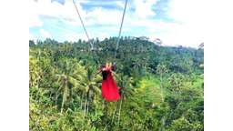 PRIVATE TOUR BALI (Ubud and South Bali), USD 41.03