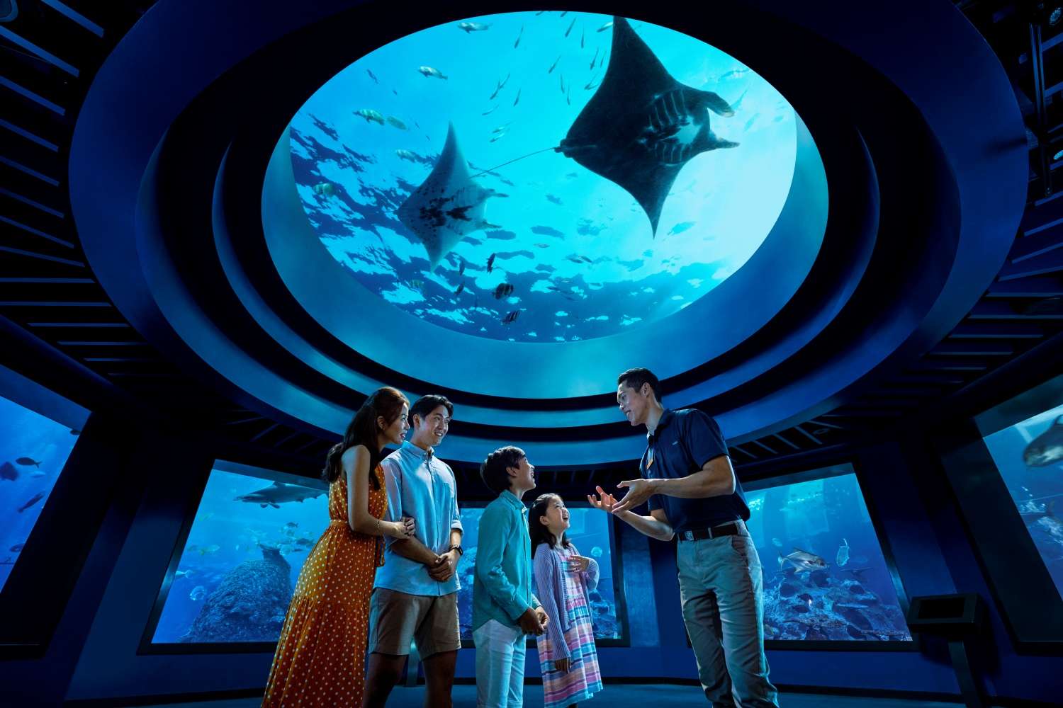 singapore underwater world ticket price