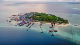 Snorkeling Tour, USD 95.51