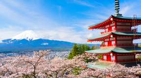 Tokyo Private Day Tour: Mt. Fuji, Hakone, Kamakura & Downtown Tokyo | Japan