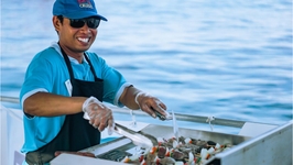 Gili Hai Cruise: 3 Island BBQ Day/Sunset Cruise 3