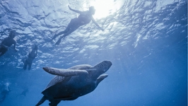 Gili Hai Cruise: 3 Island BBQ Day/Sunset Cruise 4