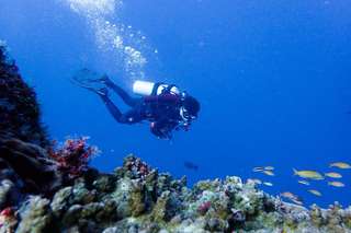 Scuba Diving Non License DSD Try Scuba - TULAMBEN, 210,385원