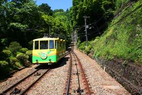 Keio One-Day Ticket with Mt. Takao Cable Car and Chair Lift Tickets｜Tokyo, Japan