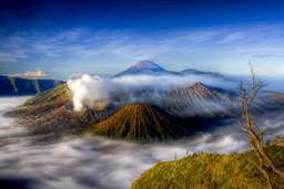 OPEN TRIP DIENG, RM 532