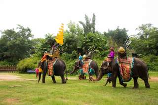 Samphran Elephant Ground & Crocodile Zoo Ticket | Thailand, USD 18.47