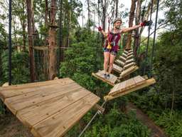 TreeTop Challenge Ticket in Sunshine Coast