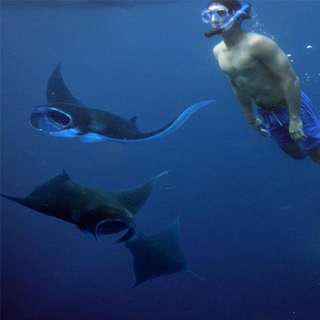 Day Tur West Nusa Penida & Snorkeling To 4 Spot By Tiket Penida, Rp 300.000