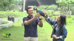 Aviary Park, Rp 112.000