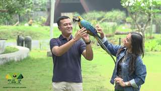 Aviary Park, Rp 178.000