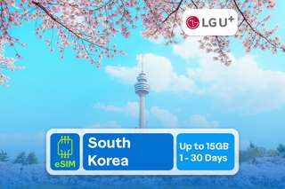 SK Telecom South Korea eSIM