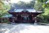 Indulge yourself in Izusan Shrine's serenity