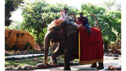 Surabaya Zoo Tour - 6 Hours, USD 10.62