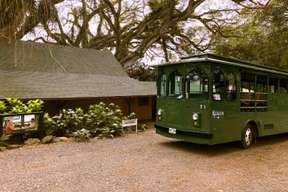 Oahu | Tour Tham Quan Kualoa Ranch Grown | Hawaii