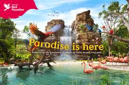 Singapore Bird Paradise, VND 924.950