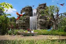 Bird Paradise Tickets | Mandai Wildlife Reserve, Singapore, SGD 49