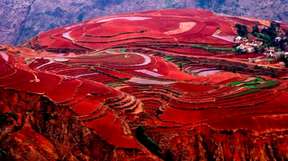 2-Day Kunming to Dongchuan Red Lan Private Tour: Green Lake (Cui Hu), Dongchuan Red Land