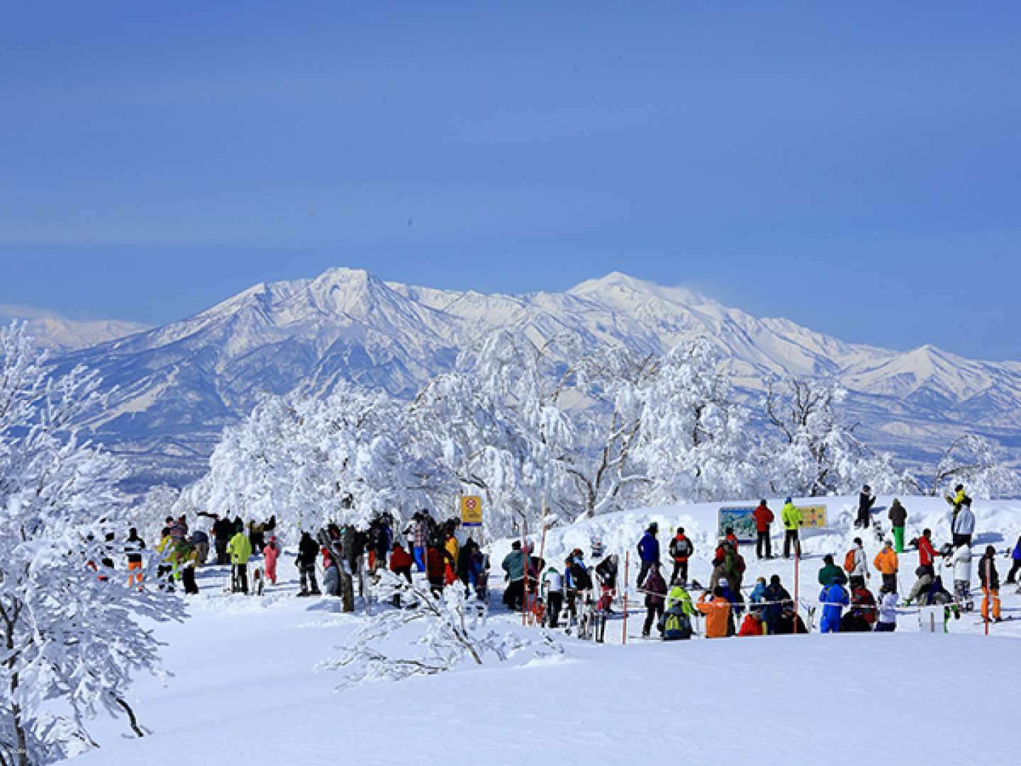 Nozawa Onsen Snow Resort 2Day Tour from Tokyo ราคาพิเศษ ที่ Traveloka